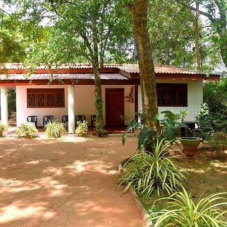 Senasuma Holiday Bungalow Anuradhapura Exterior foto
